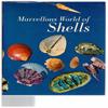 - - Marvellous World of Shells