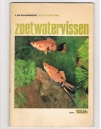 A. van den Nieuwenhuizen - Zoetwatervissen I ( plaatjesalbum Rizla ) Zo leer je vissen kennen