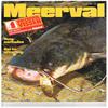 1e serie Beet-verzamelwerk - Meerval -- Succesvol Vissen nr. 4